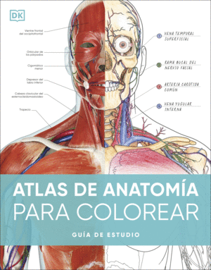 ATLAS DE ANATOMA PARA COLOREAR