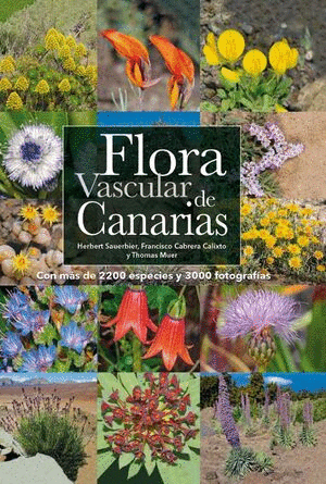 FLORA VASCULAR DE CANARIAS