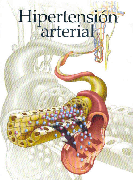 MINIATLAS HIPERTENSION ARTERIAL